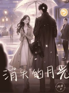(精品)消失的⽉光小说