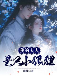 【新书】我的夫人是只小狐狸主角叶青苍叶清轩叶星宇全文全章节小说阅读