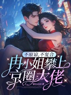 不原谅，不复合，冉小姐攀上京圈大佬冉岁岁傅云庭免费阅读-不原谅，不复合，冉小姐攀上京圈大佬暮色迟迟小说