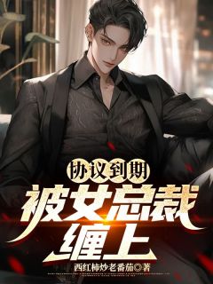协议到期，被女总裁缠上[抖音]小说-叶枫林雨晴无删减阅读