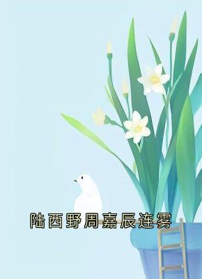 陆西野周嘉辰连雾小说免费版阅读抖音热文