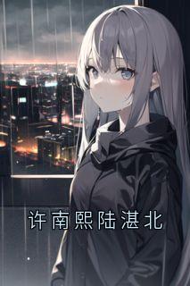 主角是陆湛北许南熙的许南熙陆湛北抖音热门小说