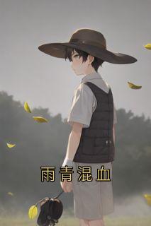 好看的雨青混血小说，主角陆嘉一周淮许沈璐最新章节阅读