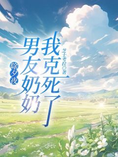 【除夕夜，我克死了男友奶奶】主角(苏雅林栋)在线阅读