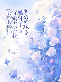 好书推荐丁克七年后，保姆告诉我她怀了老公的孩子苏沫林北笙全文在线阅读-随缘阅读网