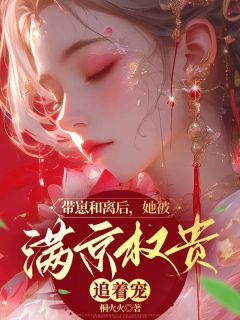 苏念安沈云凡小说带崽和离后，她被满京权贵追着宠完整章节