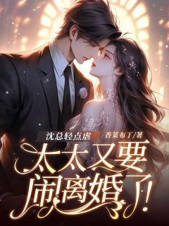 (独家)沈总轻点虐，太太又要闹离婚了！夏瑾染沈泊越小说