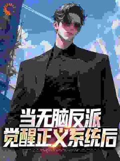 当无脑反派觉醒正义系统后全集小说_徐沐叶桐完结版阅读