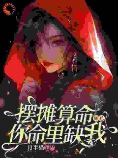 摆摊算命：顾总，你命里缺我时夏顾淮之大结局在线阅读
