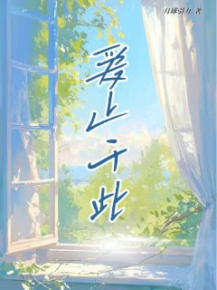 月球引力写的小说爱止于此宋铭苏茵苏禾全文阅读-随缘阅读网