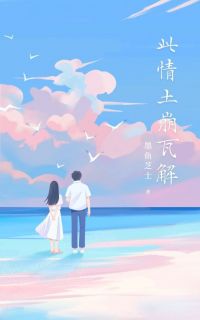 此情土崩瓦解何嘉仪沈斌小说全文阅读-随缘阅读网
