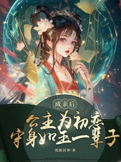 成亲后，公主为初恋守身如玉一辈子小说百度云完整章节列表免费阅读