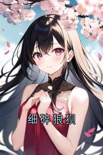 细碎狼狈宋棠音贺问津大结局小说全章节阅读
