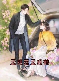 精彩小说孟观霆孟观鹤孟观鹤唐安意全章节在线阅读