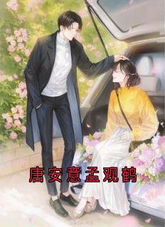 爆款小说由作者唐安意所创作的唐安意孟观鹤在线阅读