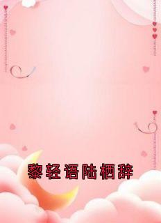 良心推荐黎轻语陆栖辞小说试读