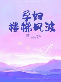 二月一五写的小说孕妇楼梯风波在线阅读