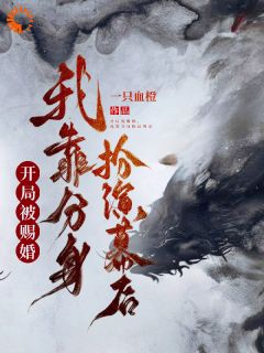 开局被赐婚,我靠分身扮演幕后(新书)小说_苏越苏云和阅读-随缘阅读网