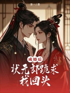 抖音林宁笙宋怀安小说叫什么名字