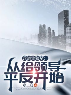 政道贪狼星：从给领导平反开始（陈诚楚瑜清）精彩小说目录阅读
