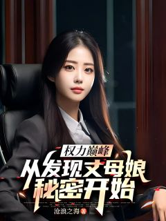 主角高远杨岚小说，权力巅峰，从发现丈母娘秘密开始免费阅读全文