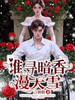 谁寻暗香漫天雪章节全目录 祝明衍沈离韵全文免费阅读
