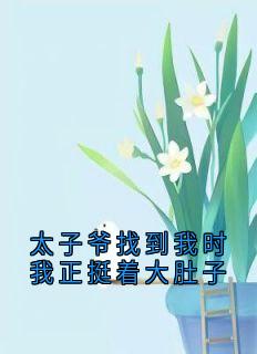 主角是顾岁岁席宴的小说-太子爷找到我时我正挺着大肚子完整章节阅读-随缘阅读网