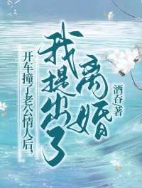 开车撞了老公情人后，我提出了离婚精彩章节-开车撞了老公情人后，我提出了离婚免费阅读全文