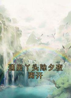 抖音爆款通房丫头除夕夜离开完整小说（全文阅读）