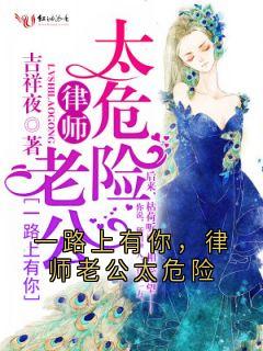 一路上有你，律师老公太危险叶清禾萧伊庭-小说txt全文阅读