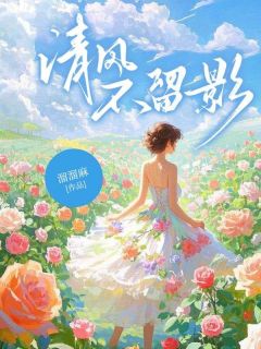 清风不留影完整版免费阅读，傅司月闻笙箫小说大结局在哪看