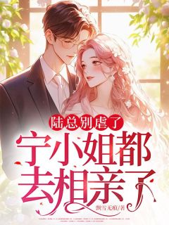 作者飘雪无痕写的陆总别虐了，宁小姐都去相亲了小说大结局全章节阅读