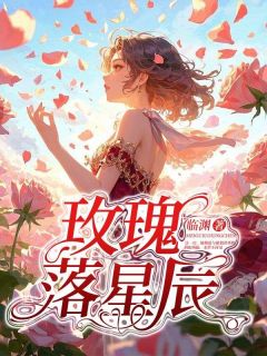玫瑰落星辰(林亦玫陆北辰)小说全章节目录阅读
