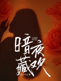 暗夜藏欢(芝芝不言)最佳创作小说全文在线阅读