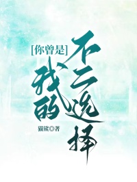 你曾是我的不二选择小说免费阅读 纪明安安大结局完整版