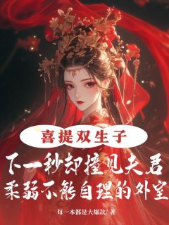 抖音爆款喜提双生子，下一秒却撞见夫君柔弱不能自理的外室小说免费阅读-随缘阅读网