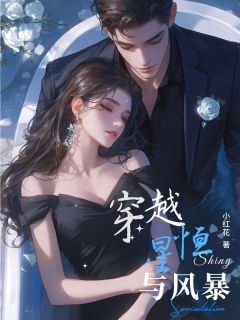 穿越恒星与风暴小说好看吗 宋昭昭沈聿风最后结局如何