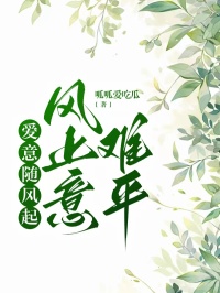 宁安浔文青小说哪里可以看 小说爱意随风起,风止意难平全文免费阅读-随缘阅读网