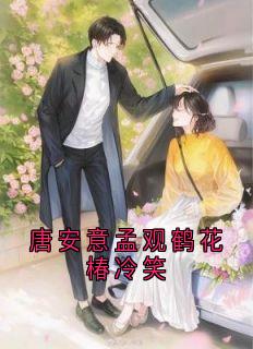 孟观鹤唐安意是哪部小说的主角 孟观鹤唐安意全文阅读