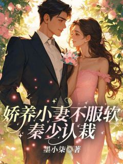 主角盛宁秦湛小说完整版-娇养小妻不服软，秦少认栽免费阅读全文