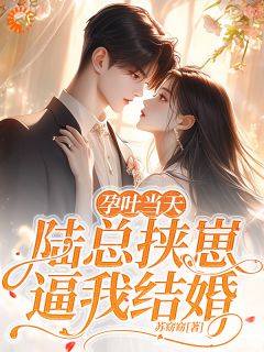 孕吐当天，陆总挟崽逼我结婚无弹窗在线阅读-随缘阅读网