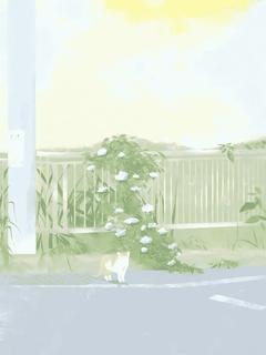 抖音小说【林安顾霖】全集免费版在线阅读