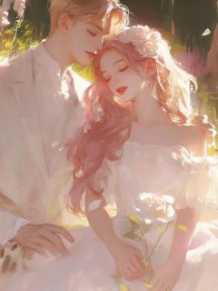 免费试读主角关婉婷陈青云小说
