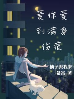 抖音爆款小说爱你爱到满身伤痕宋如萱陈嘉豪免费txt全文阅读-随缘阅读网