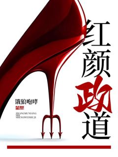 宦海狂澜(新书)大结局在线阅读-随缘阅读网