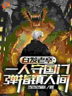 白发老卒：一人守国门弹指镇人间李苍澜李小天小说_白发老卒：一人守国门弹指镇人间完结版阅读