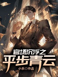 官场沉浮之平步青云精彩小说-官场沉浮之平步青云目录阅读