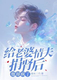 主人公苏寒烟叶凡周明昊小说给老婆情夫捐肾后，他却疯了在线全文阅读