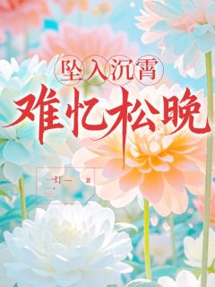 许松晚陆沉霄完整版坠入沉霄难忆松晚全文最新阅读