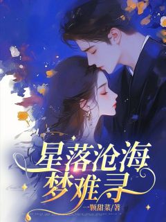 星落沧海梦难寻在线阅读 尹向晴萧宜年免费小说精彩章节